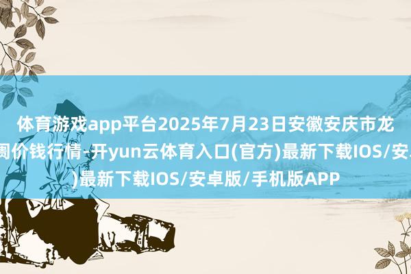 体育游戏app平台2025年7月23日安徽安庆市龙狮桥蔬菜批发阛阓价钱行情-开yun云体育入口(官方)最新下载IOS/安卓版/手机版APP